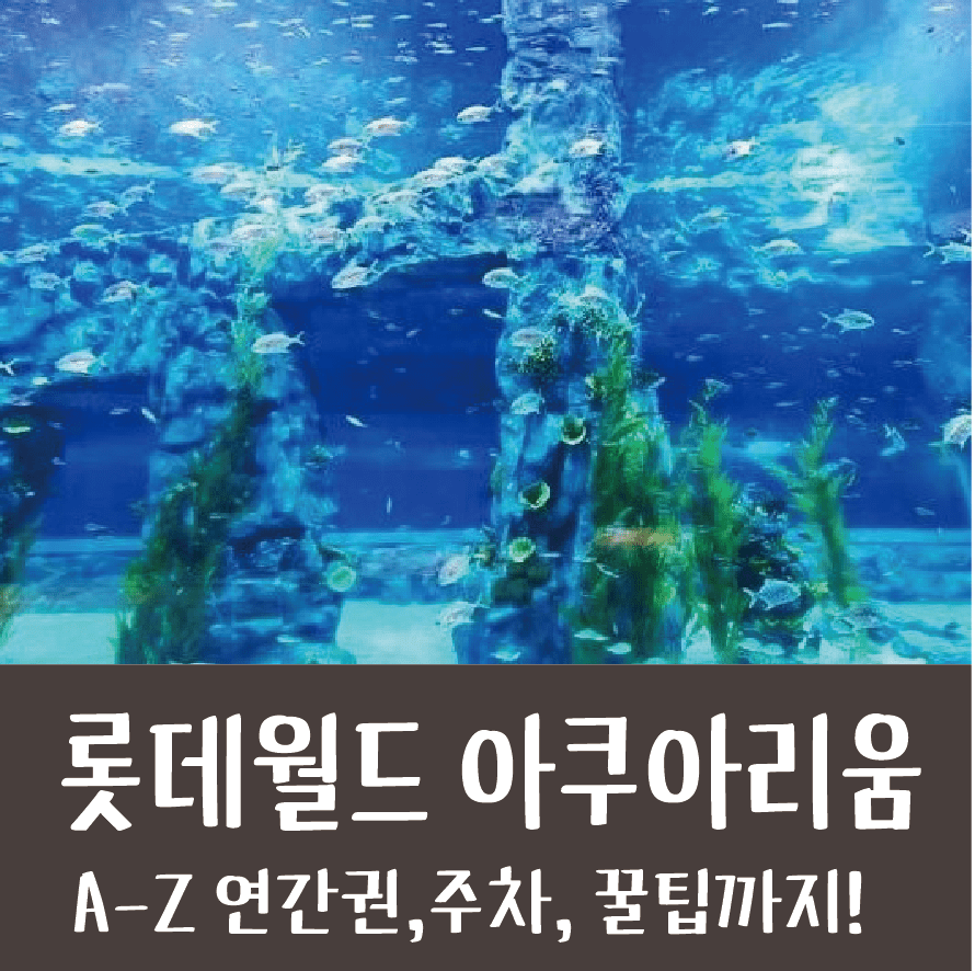 아기랑 롯데월드 아쿠아리움 연간 뽕뽑은 후기